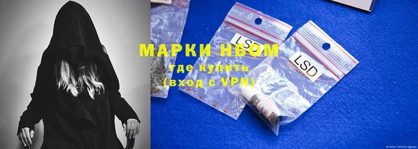 крисы Няндома