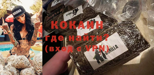 метадон Новодвинск