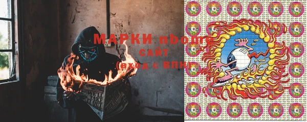 крисы Няндома