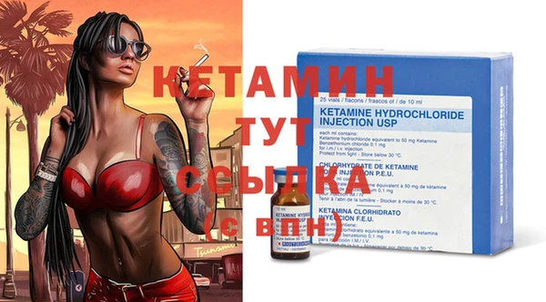 крисы Няндома