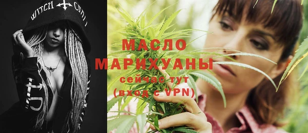 крисы Няндома